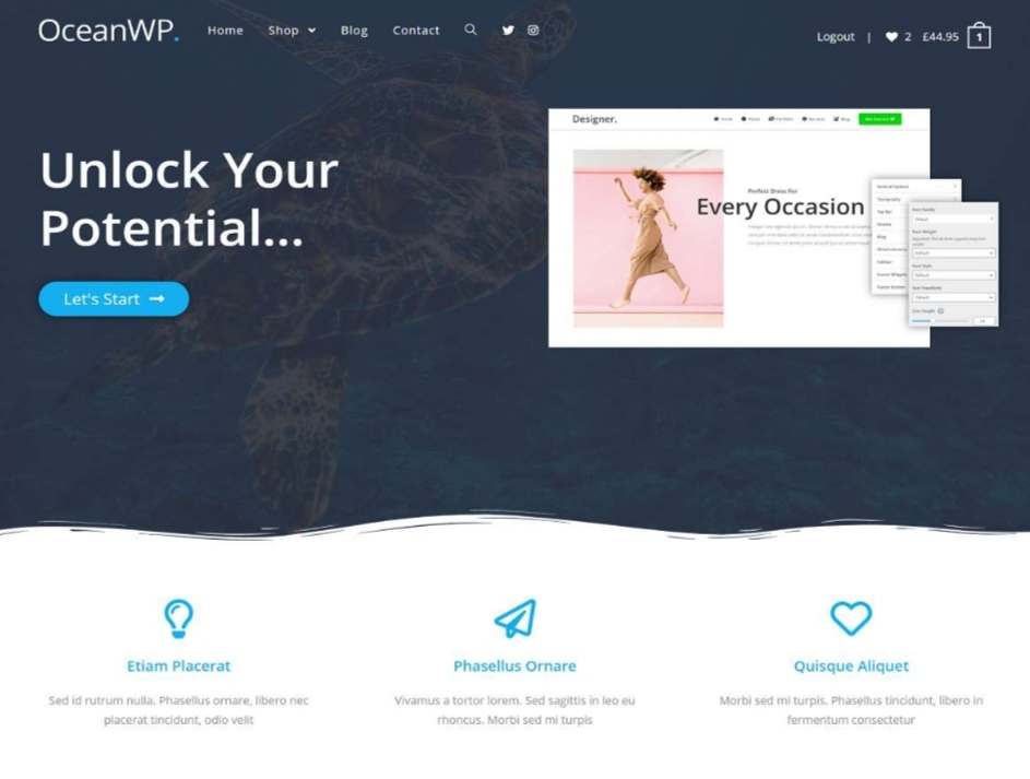 Ocean WP theme Review