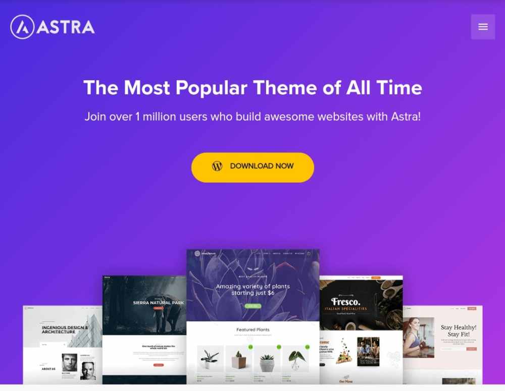 Astra WordPress Theme